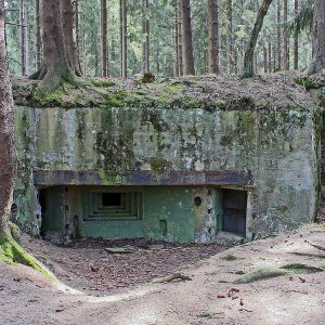 Alte Bunkeranlage...... Horst Tripp